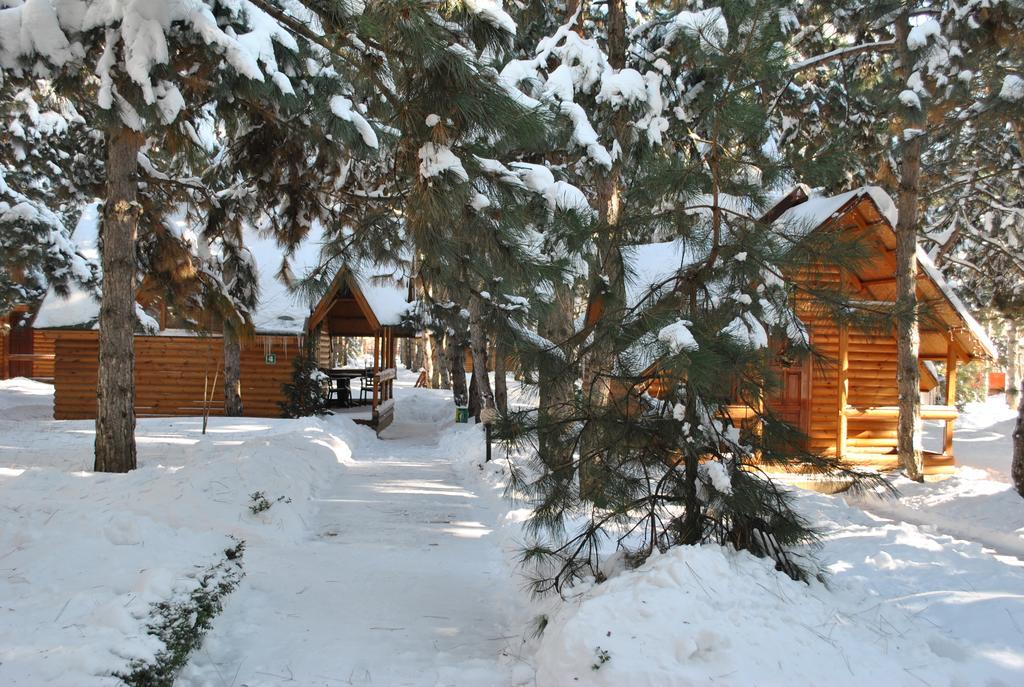 Kompleks Otdykha Elki-Palki Hotel Odessa Luaran gambar